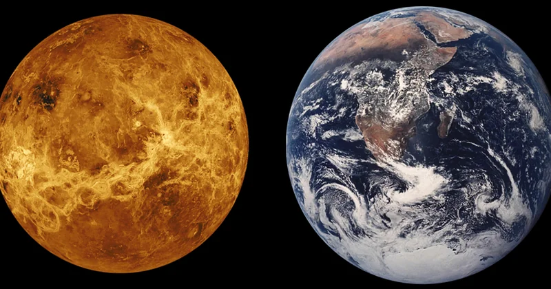 Tableau comparatif : où concentrer vos efforts